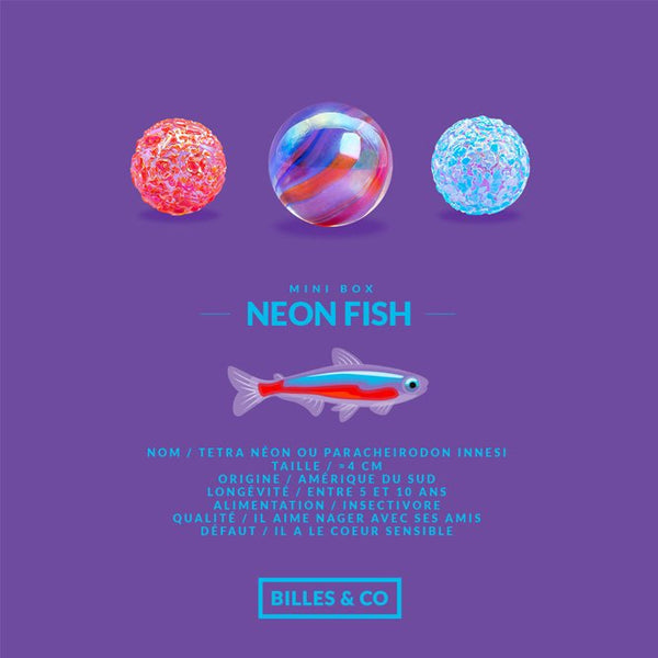 Mini Box 'Neon Fish' | BILLES & CO