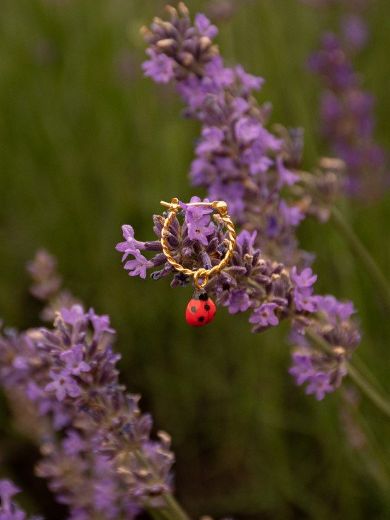 Mini créole à l'unité Coccinelle | NACH BIJOUX