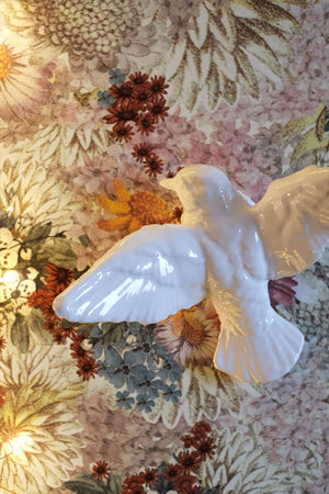 Oiseau BELLO ET BELLO | NOËL EN NORD