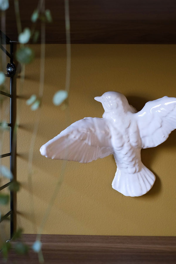 Oiseau BELLO ET BELLO | NOËL EN NORD