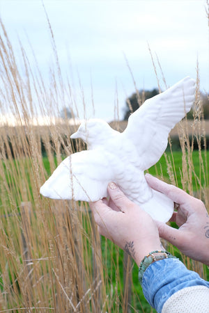 Oiseau BELLO ET BELLO | NOËL EN NORD