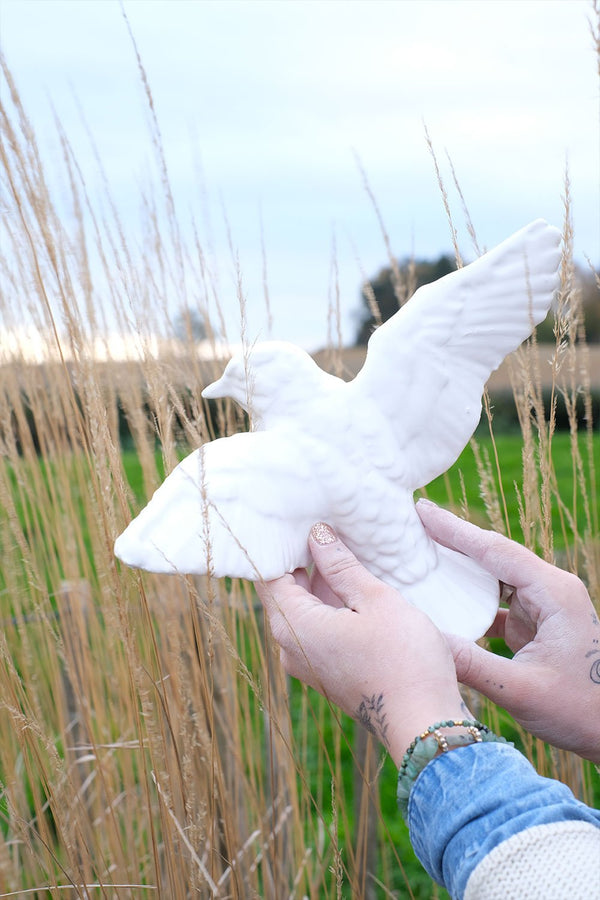Oiseau BELLO ET BELLO | NOËL EN NORD