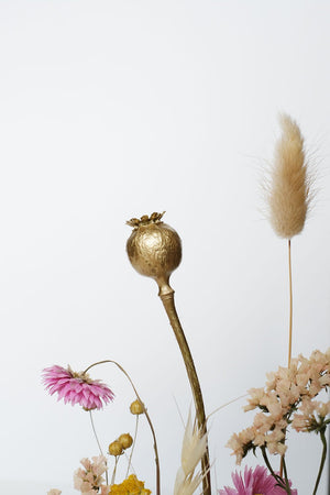 Création florale CAPRICIEUX | NOËL EN NORD