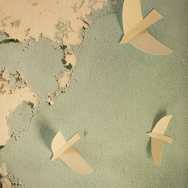 Oiseaux de mer papier noir | MUSKHANE