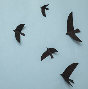 Oiseaux de mer papier noir | MUSKHANE