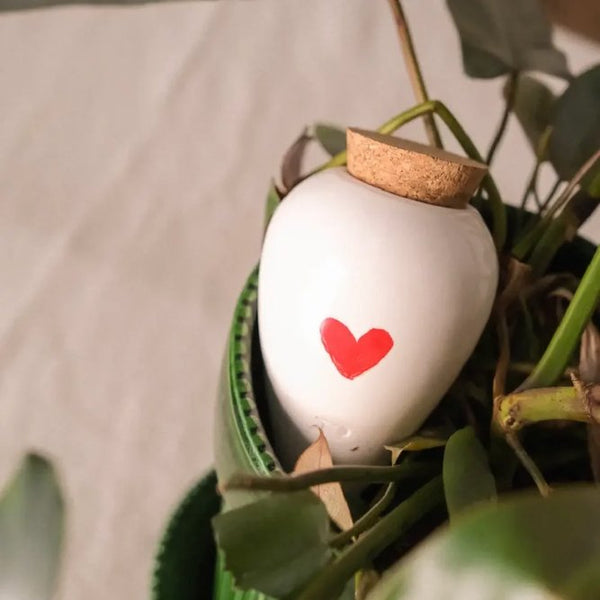 Olla Coeur | PEPIN