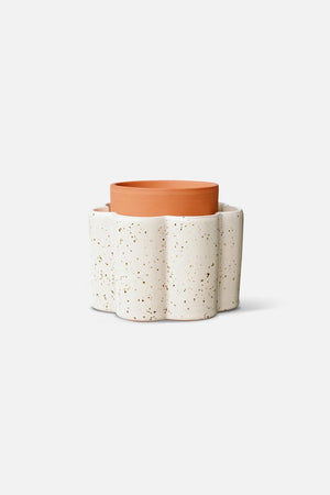 Paulita 'Blanc grainé' | PEPIN