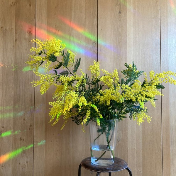 Sticker créateur d'arc-en-ciel 'Slow down and soak it up' | BOTANOPIA