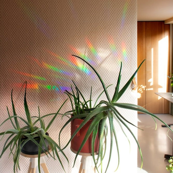 Sticker créateur d'arc-en-ciel 'Slow down and soak it up' | BOTANOPIA