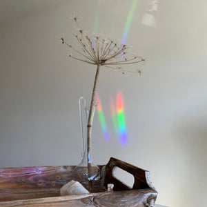 Sticker créateur d'arc-en-ciel 'You are the sunshine' | BOTANOPIA