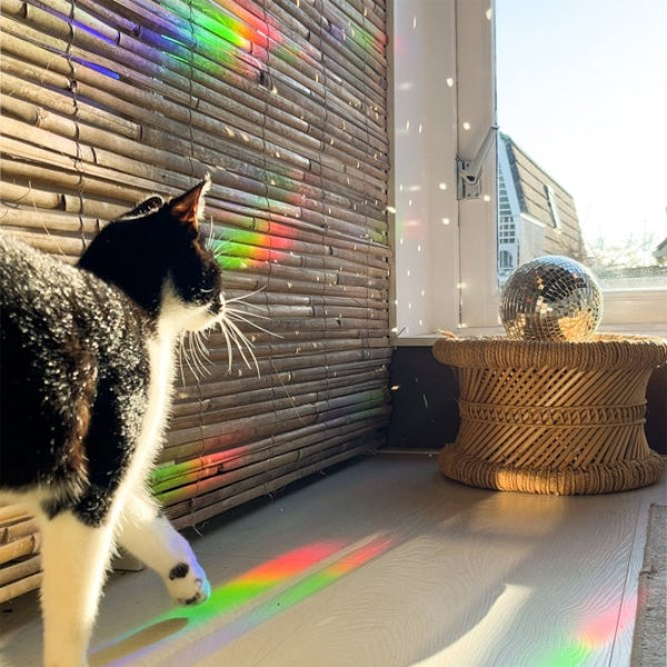 Sticker créateur d'arc-en-ciel 'You are the sunshine' | BOTANOPIA