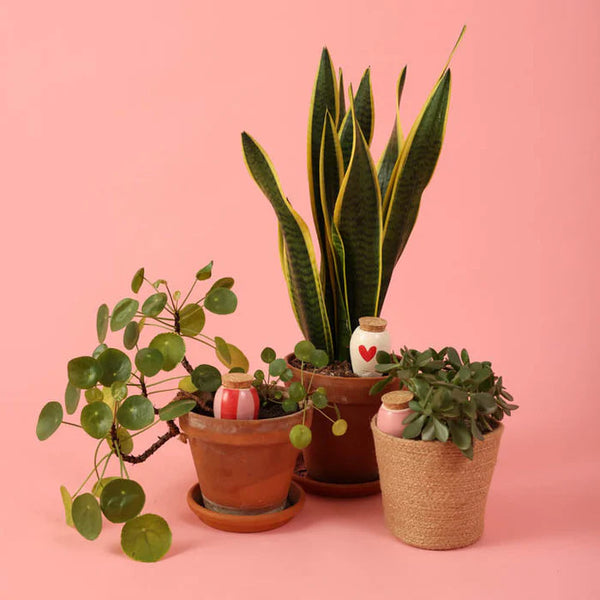 Trio mini ollas 'Les Lovers' | PEPIN
