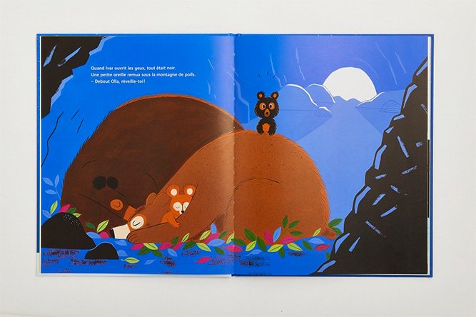 Livre 'Un Noël d'Ours' | MARCEL ET JOACHIM