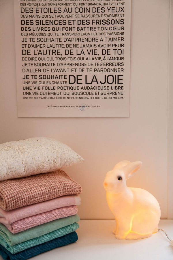 Lampe veilleuse lapin | EGMONT TOYS