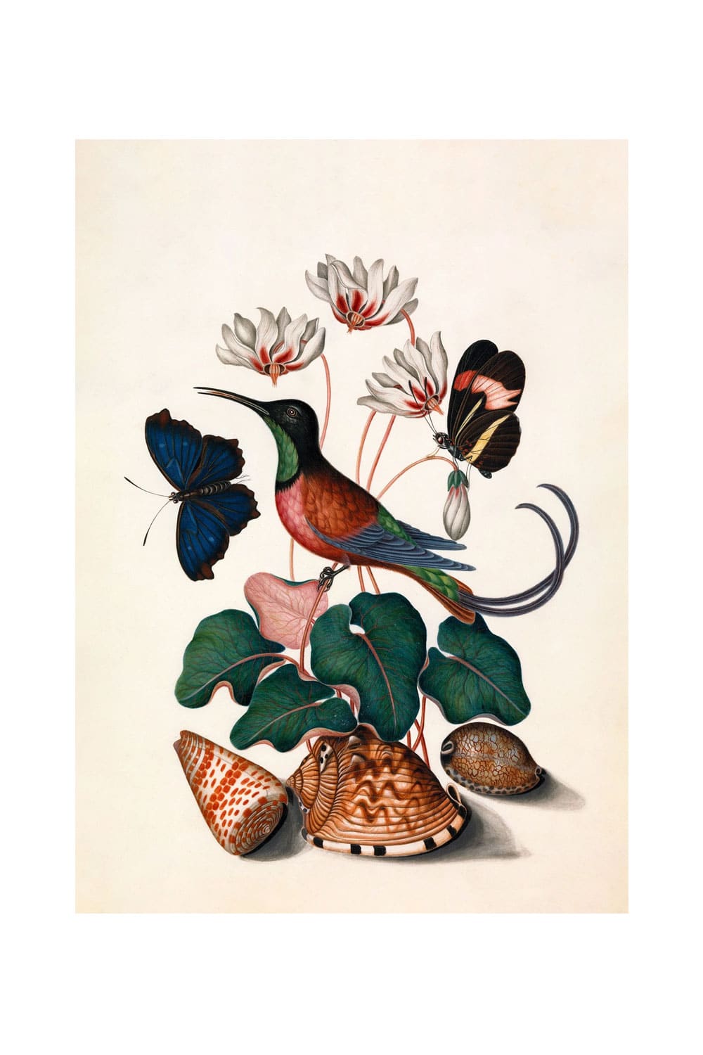 Affiche 'Hummingbird, Butterflies & Flowers' | THE DYBDAHL CO.