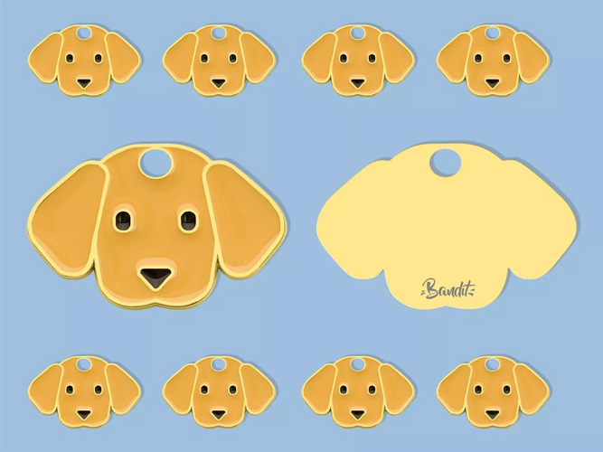Médaille pour chien 'Cosmic Dog'  BANDIT – Mouflette – Sélection bien  sentie