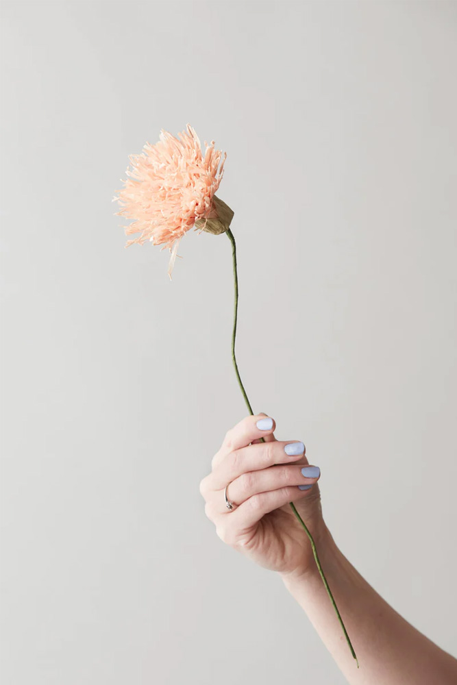 Fleur en papier Chrysanthème Nude | STUDIO ABOUT