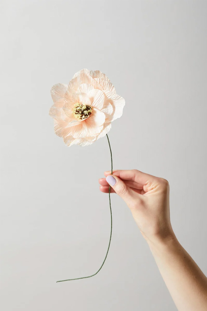 Fleur en papier Coquelicot Nude | STUDIO ABOUT