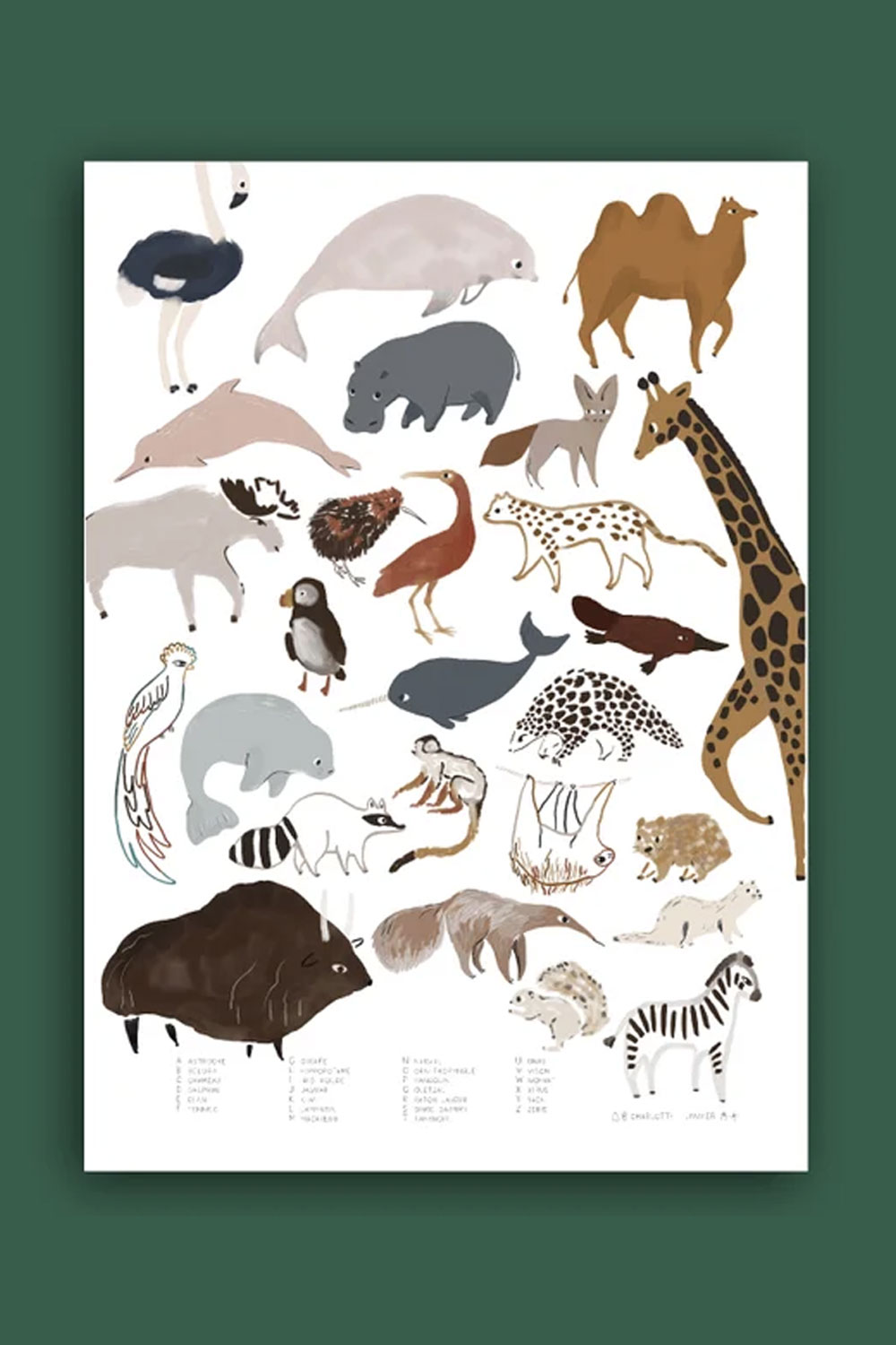 Affiche Abécédaire Animaux 50x70cm | CHARLOTTE JANVIER