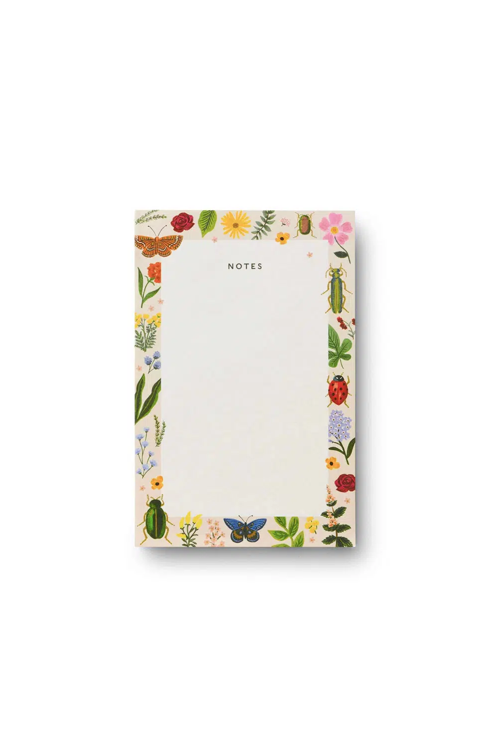 Bloc-notes 'Curio'