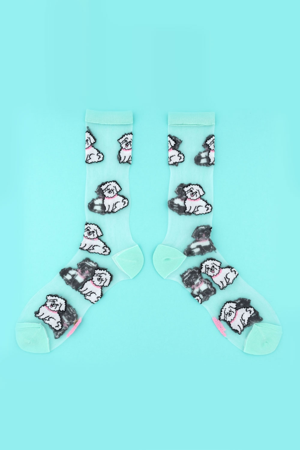 Chaussettes Transparentes Bichon | COUCOU SUZETTE