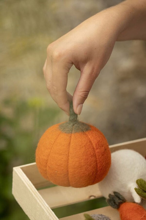 Citrouille