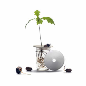 Coupelle de germination S