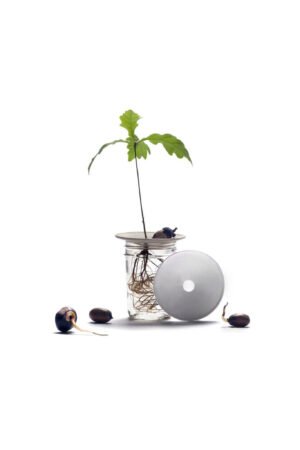 Coupelle de germination S