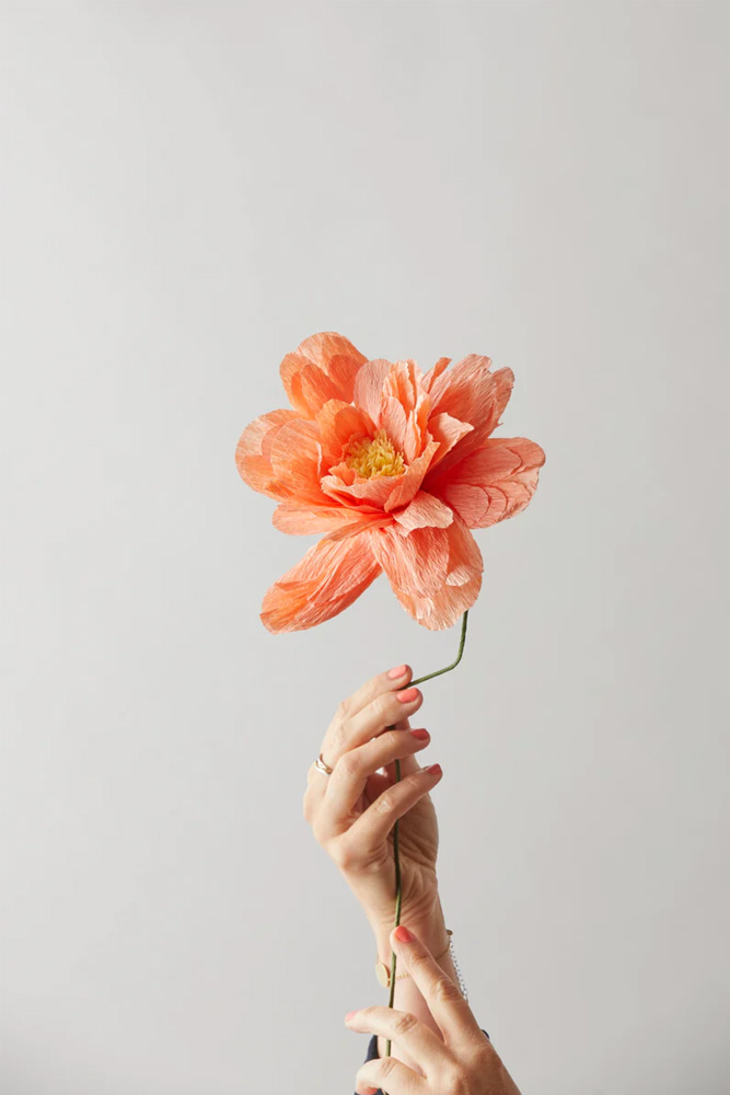 Fleur en papier Pivoine Pêche | STUDIO ABOUT