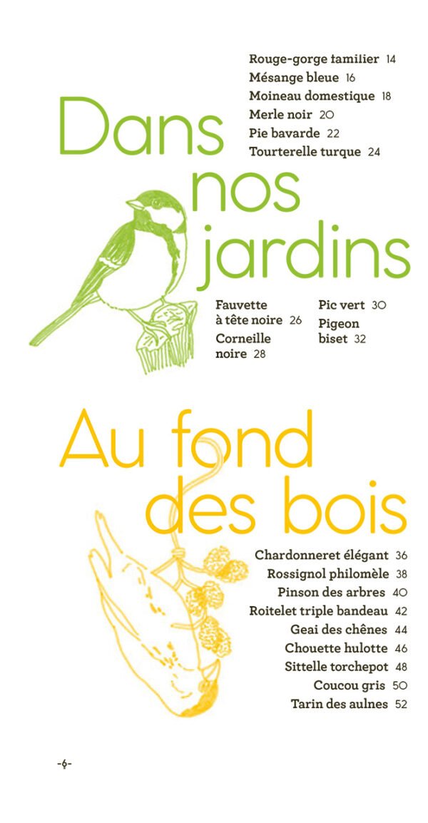 Livre 'Oiseaux à reconnaître' | GALLIMARD