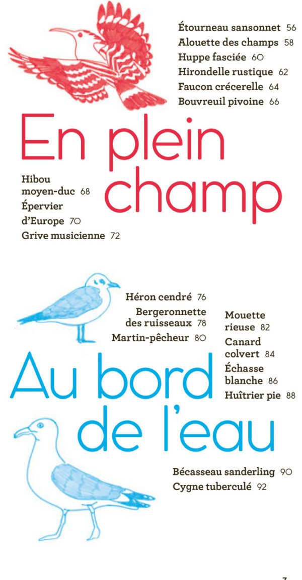 Livre 'Oiseaux à reconnaître' | GALLIMARD