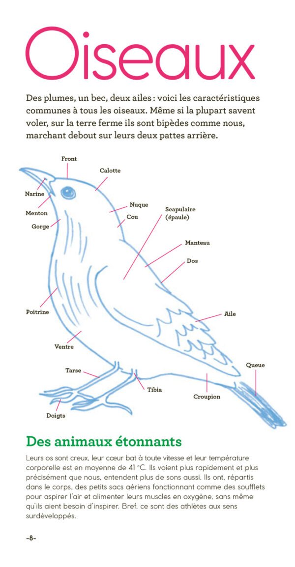 Livre 'Oiseaux à reconnaître' | GALLIMARD