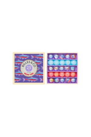 Mini Box 'Neon Fish' | BILLES & CO