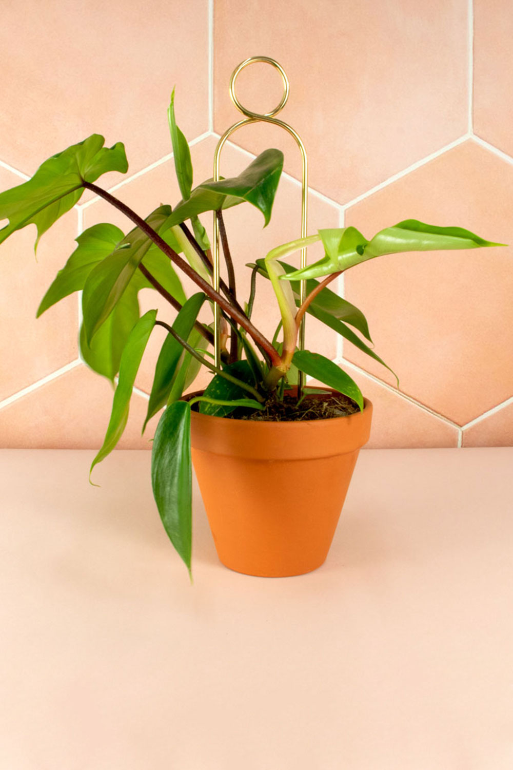 Mini tuteur ‘Pompom’ doré | BOTANOPIA