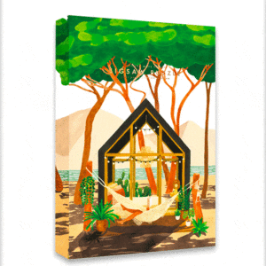 Puzzle 'Cap Ferret'