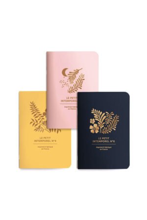 Trio de petits carnets 'Herbes folles'