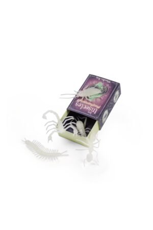Insectes phosphorescents | MOULIN ROTY