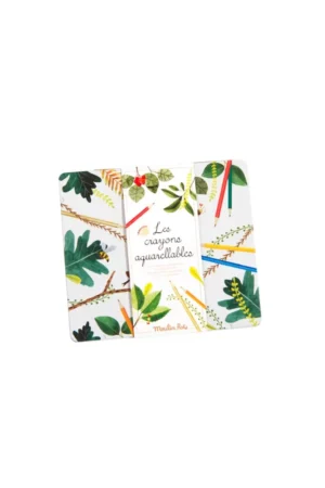 Boîte 24 crayons aquarellables | MOULIN ROTY