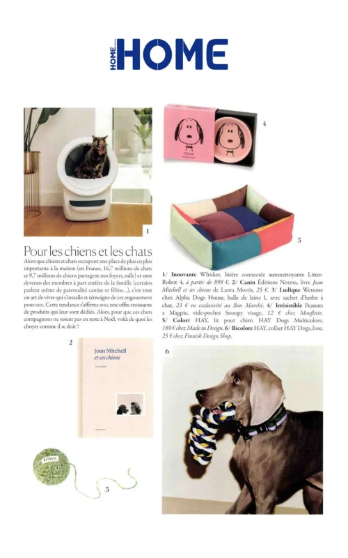 Home Magazine - Mouflette